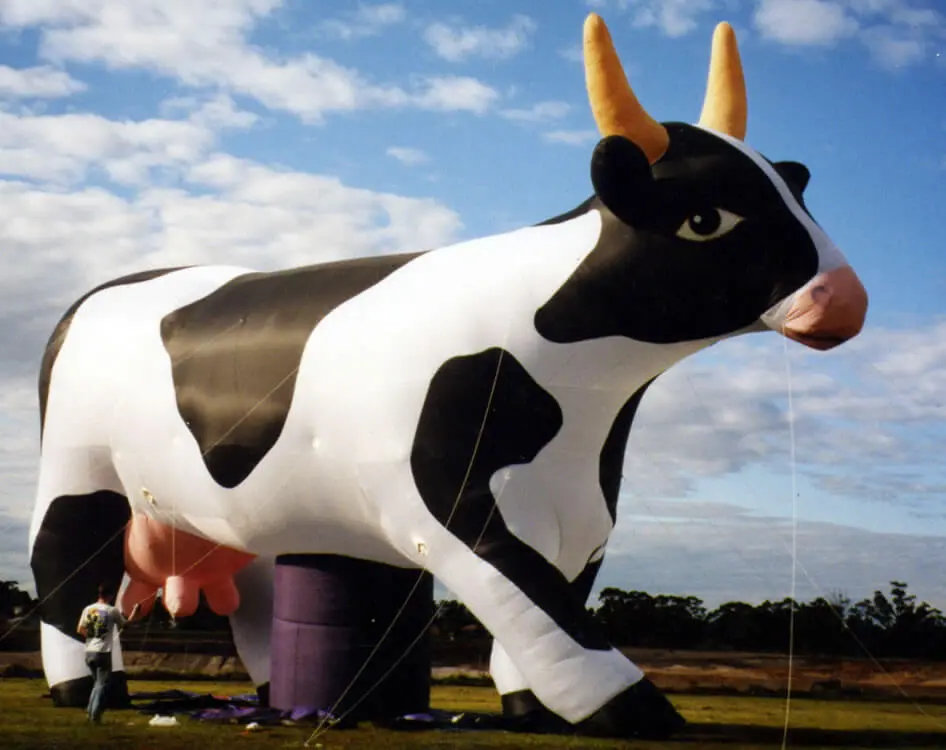 giant-custom-cow-inflatable