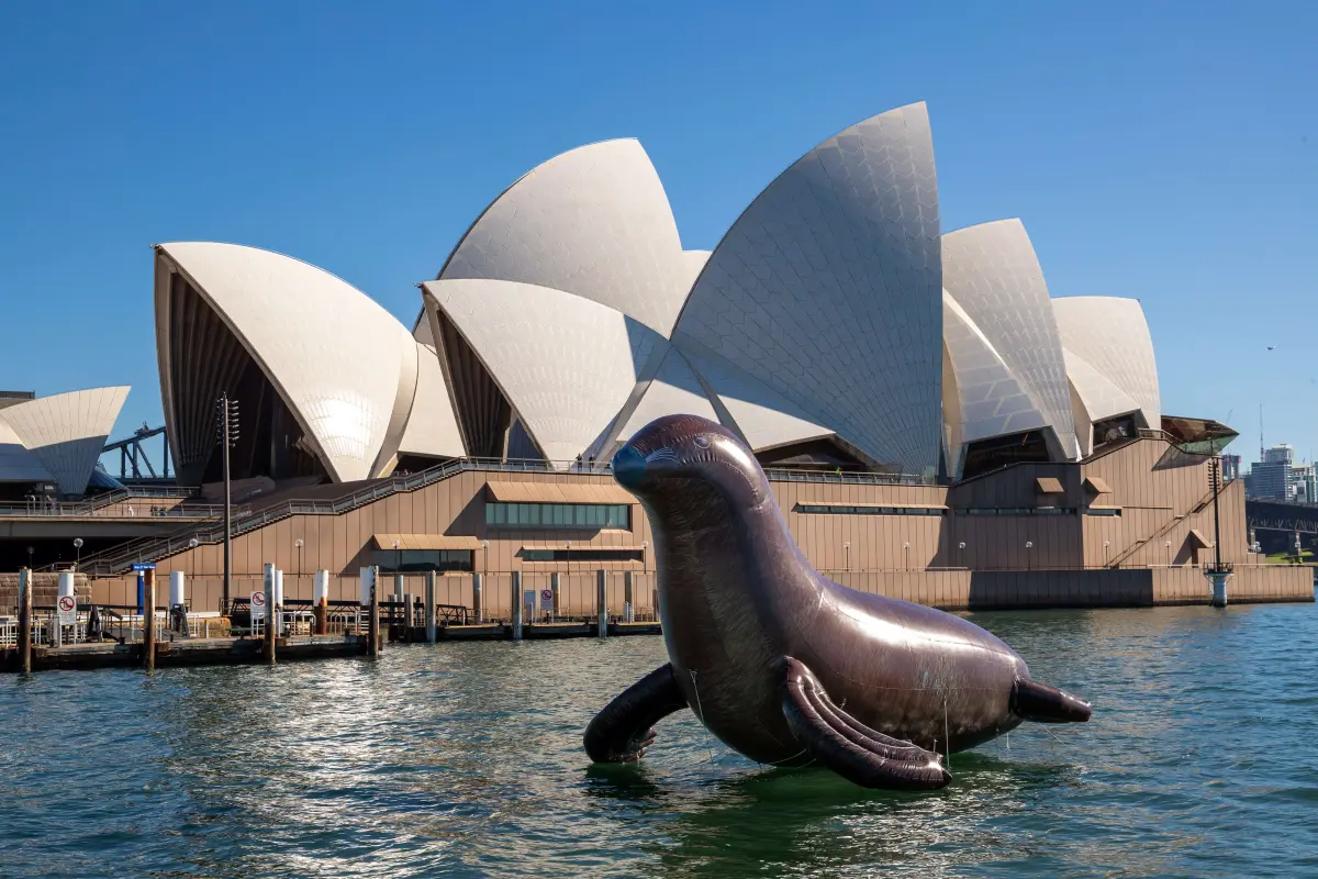 giant-inflatable-seal-sydney-opera-house