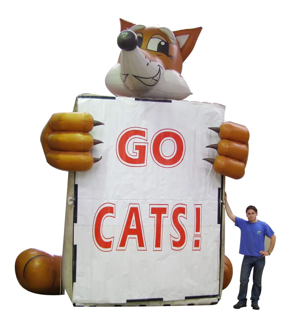 go-cats-character