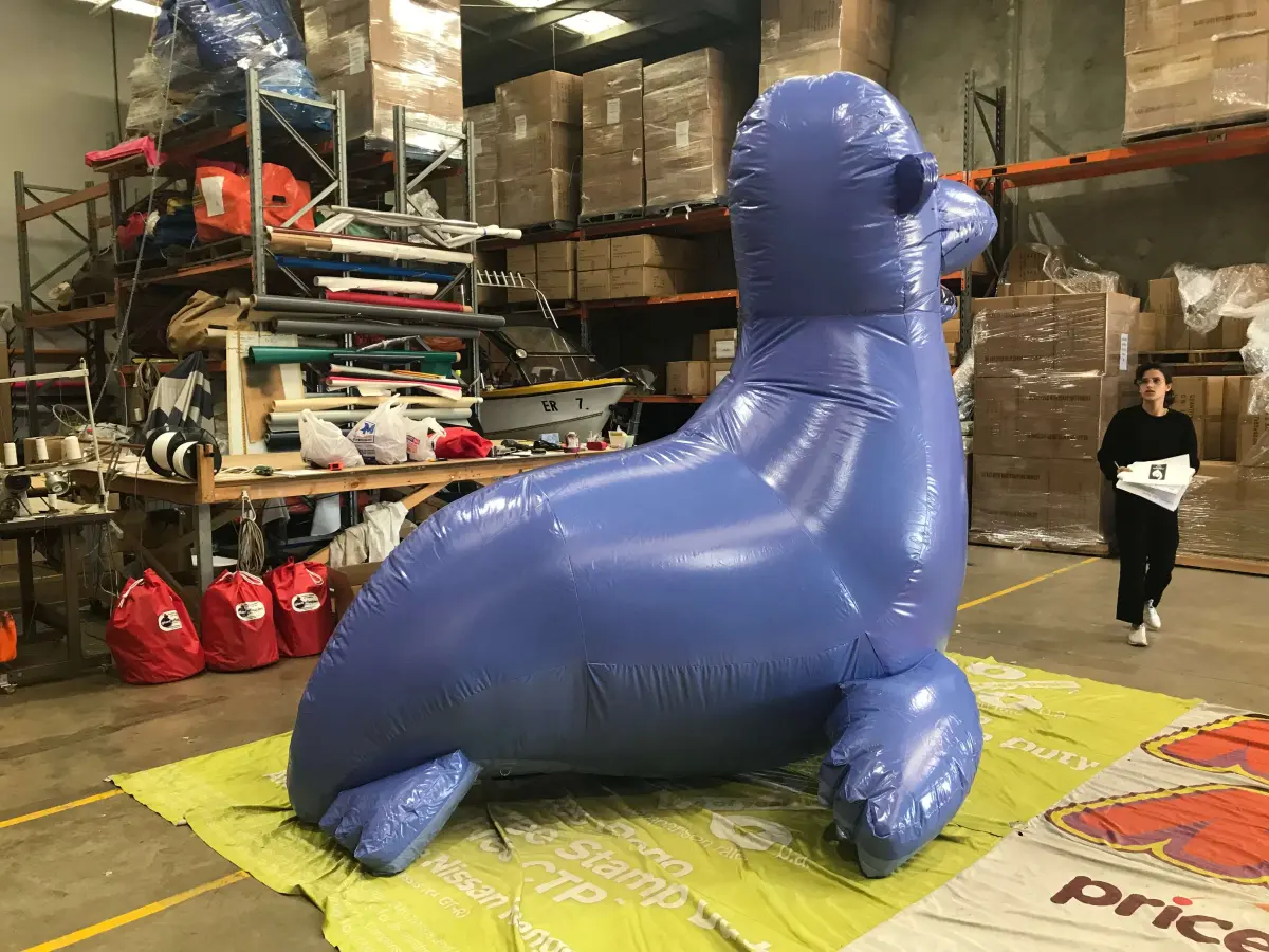 sea-lion-character